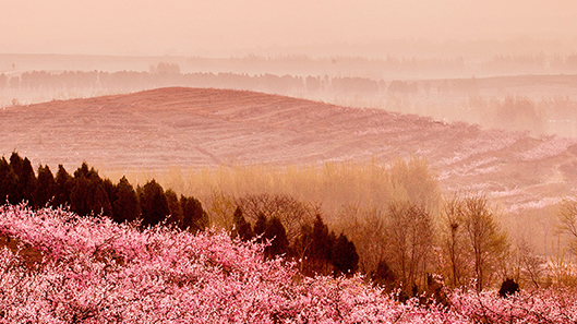 AGGAME��(�й���)���Źٷ���վ